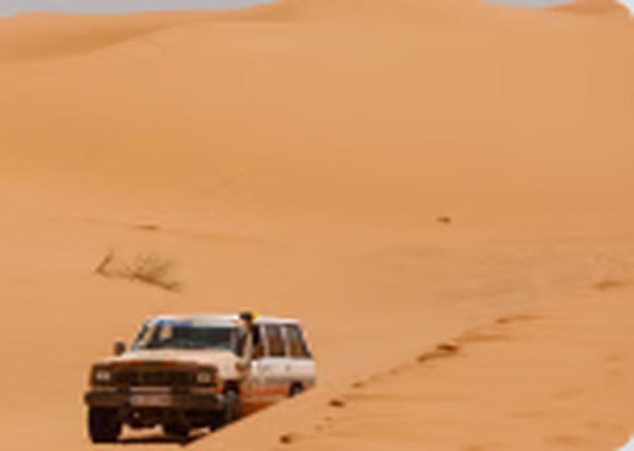 Vehículo en dunas